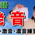 20分で韓国語が全て読めて発音できるようになる動画：平音・激音・濃音の練習付き