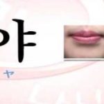 ハングルの発音 基本母音①.wmv