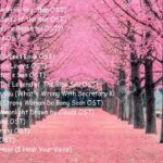 Korean Drama OST | Kdrama theme song part 1