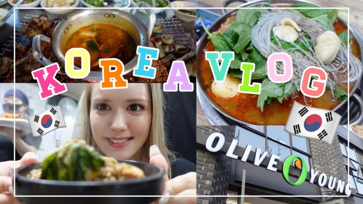 【VLOG】3年ぶりに念願の韓国渡航😍🇰🇷✈️💕